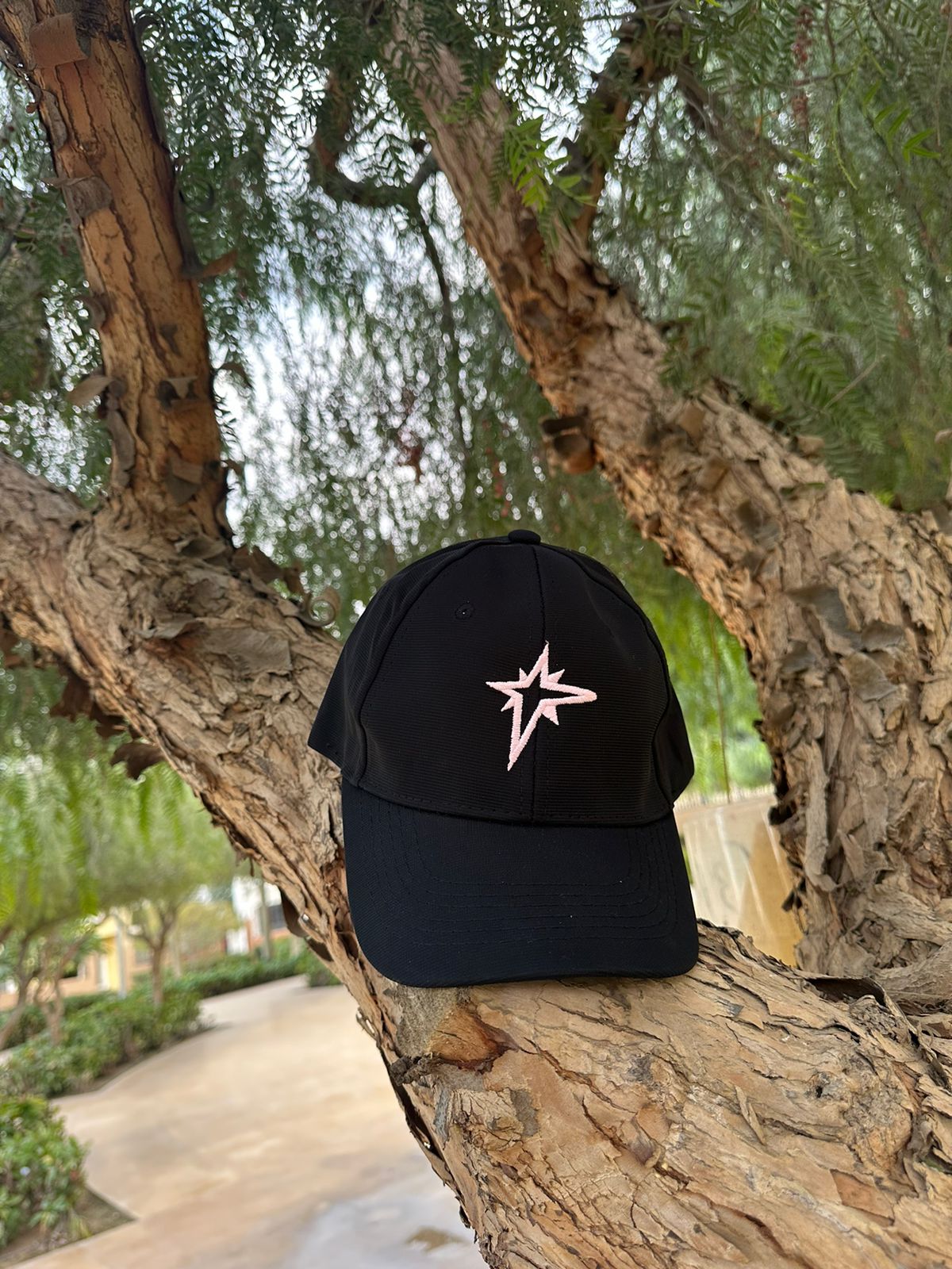 BLACK AND ROSE CAP
